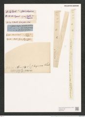 Synedra ulna var. longissima (W. Sm.) Brun. (de-Toni-Nr.: Genus 66, Species 2584) Zeichnungen Sammlung Grunow (NHMW-BOT-W0373572)
